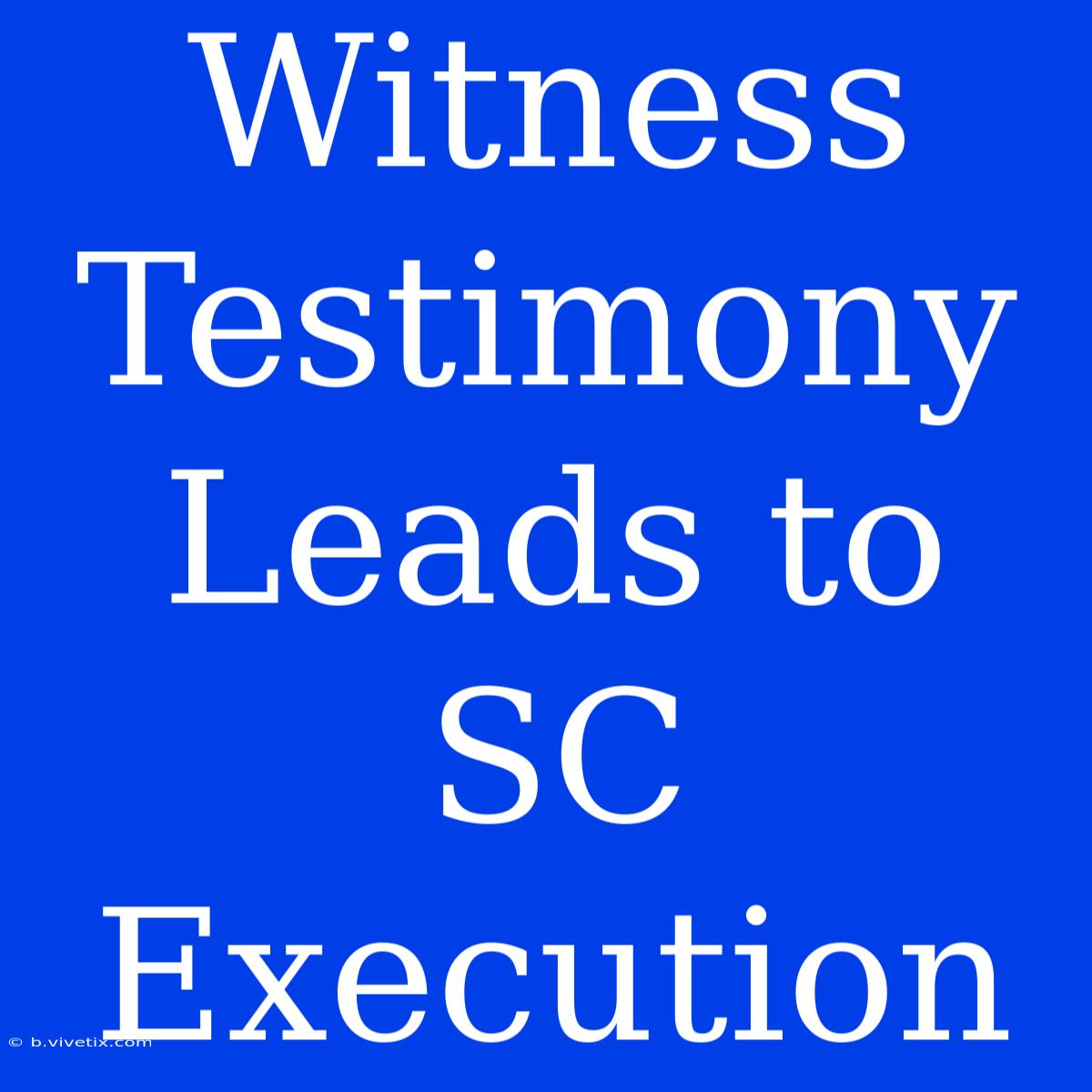 Witness Testimony Leads To SC Execution 