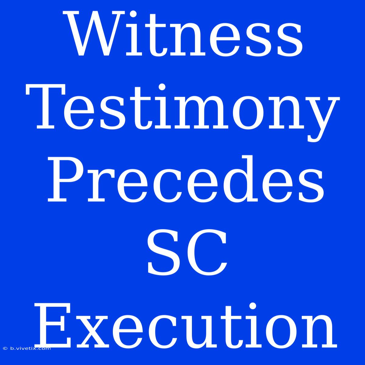 Witness Testimony Precedes SC Execution