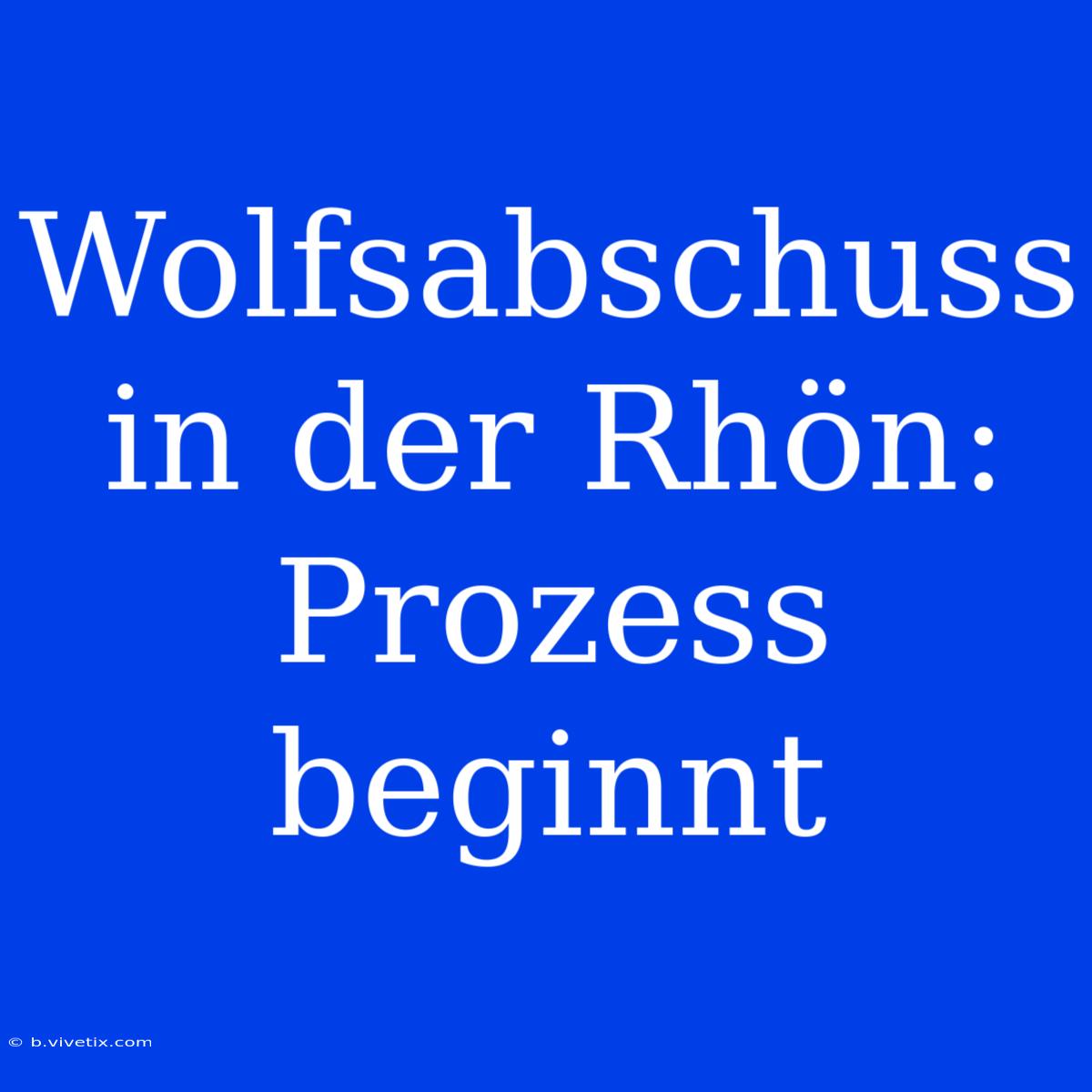 Wolfsabschuss In Der Rhön: Prozess Beginnt