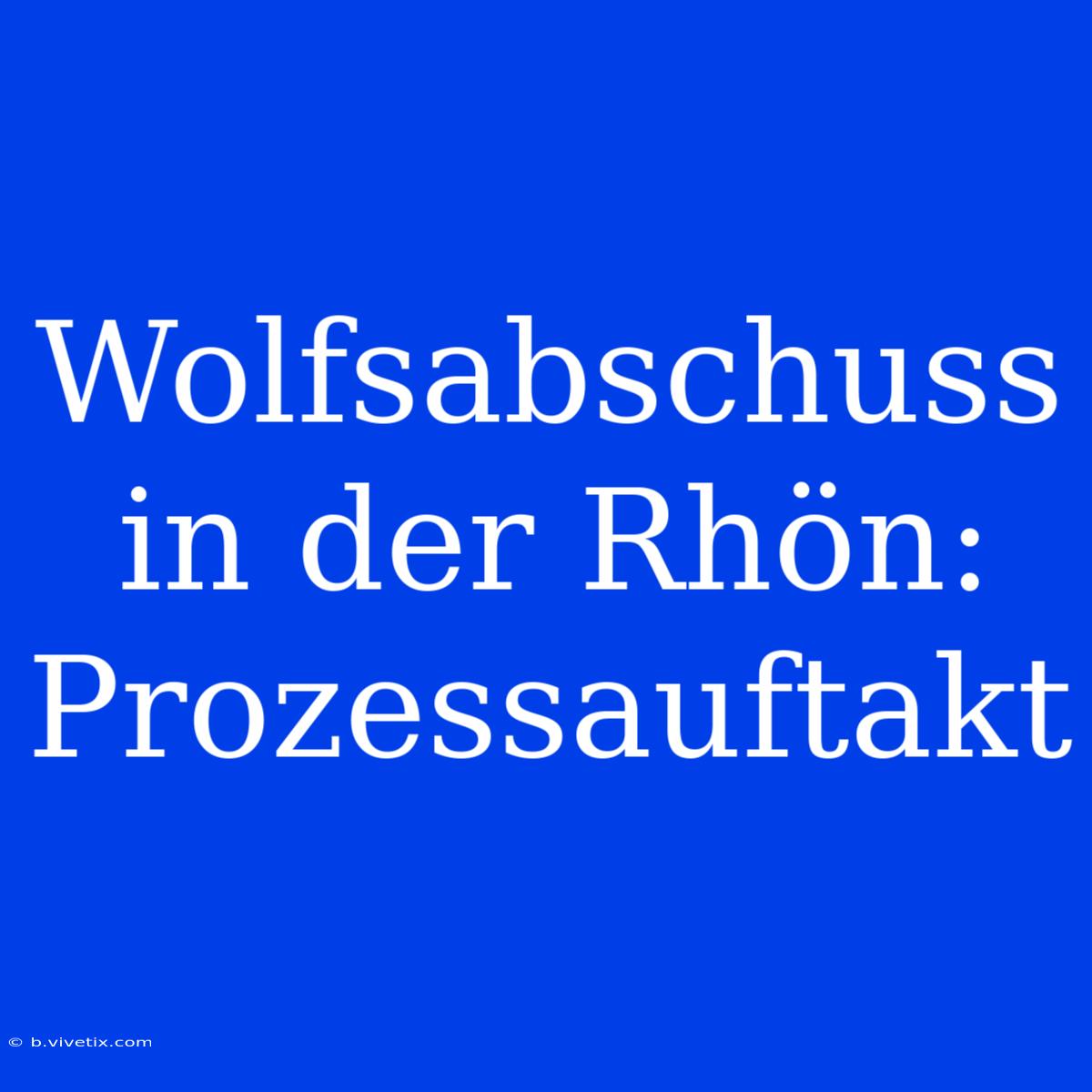 Wolfsabschuss In Der Rhön: Prozessauftakt