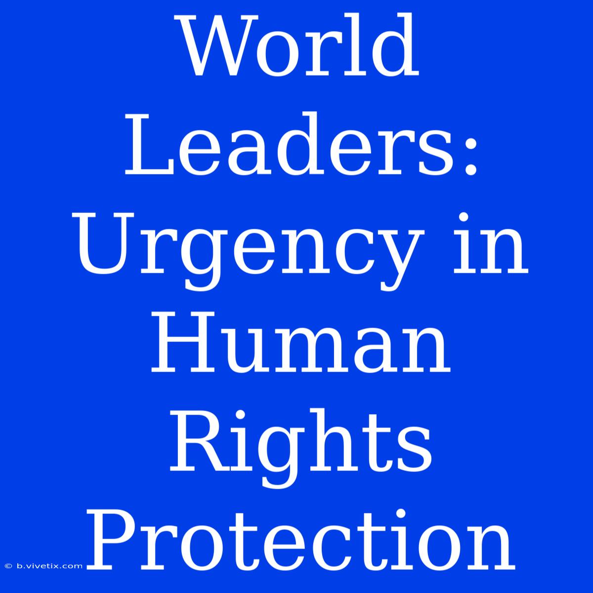 World Leaders:  Urgency In Human Rights Protection