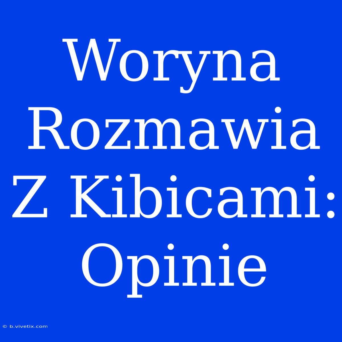 Woryna Rozmawia Z Kibicami: Opinie