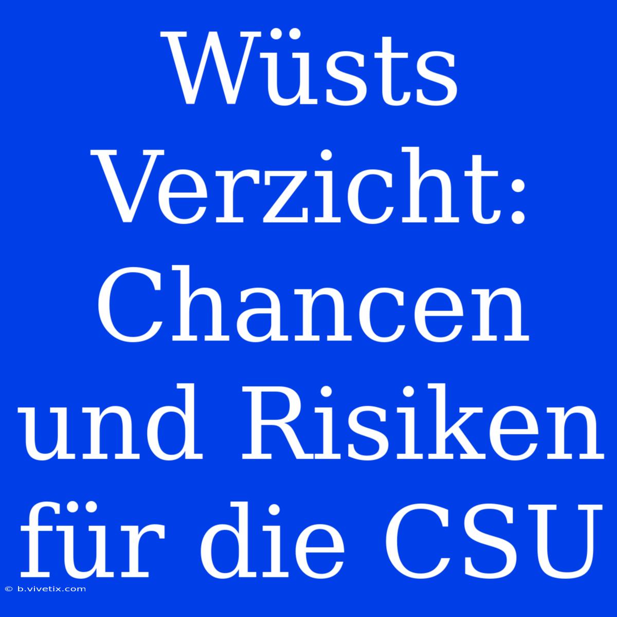 Wüsts Verzicht: Chancen Und Risiken Für Die CSU