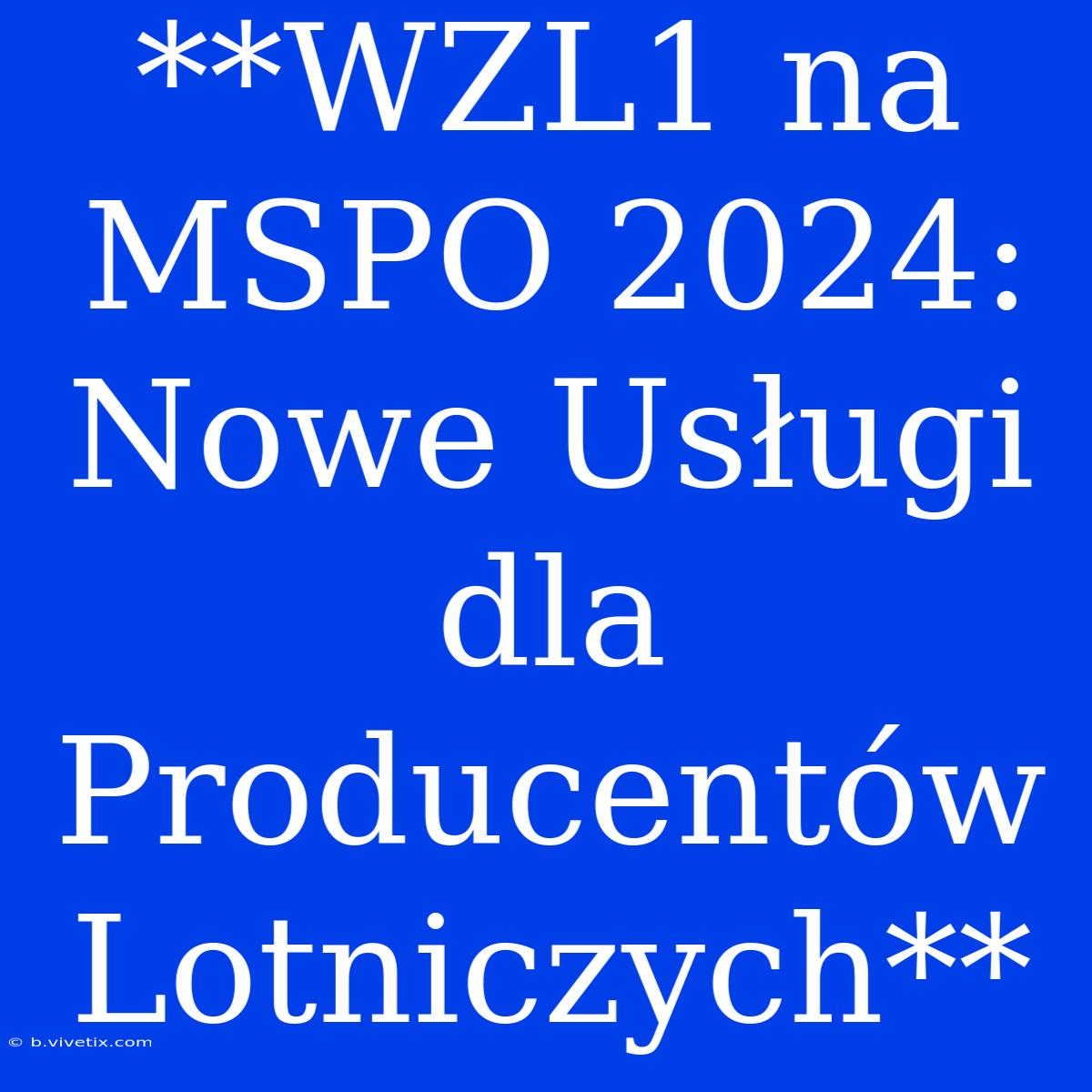 **WZL1 Na MSPO 2024: Nowe Usługi Dla Producentów Lotniczych**