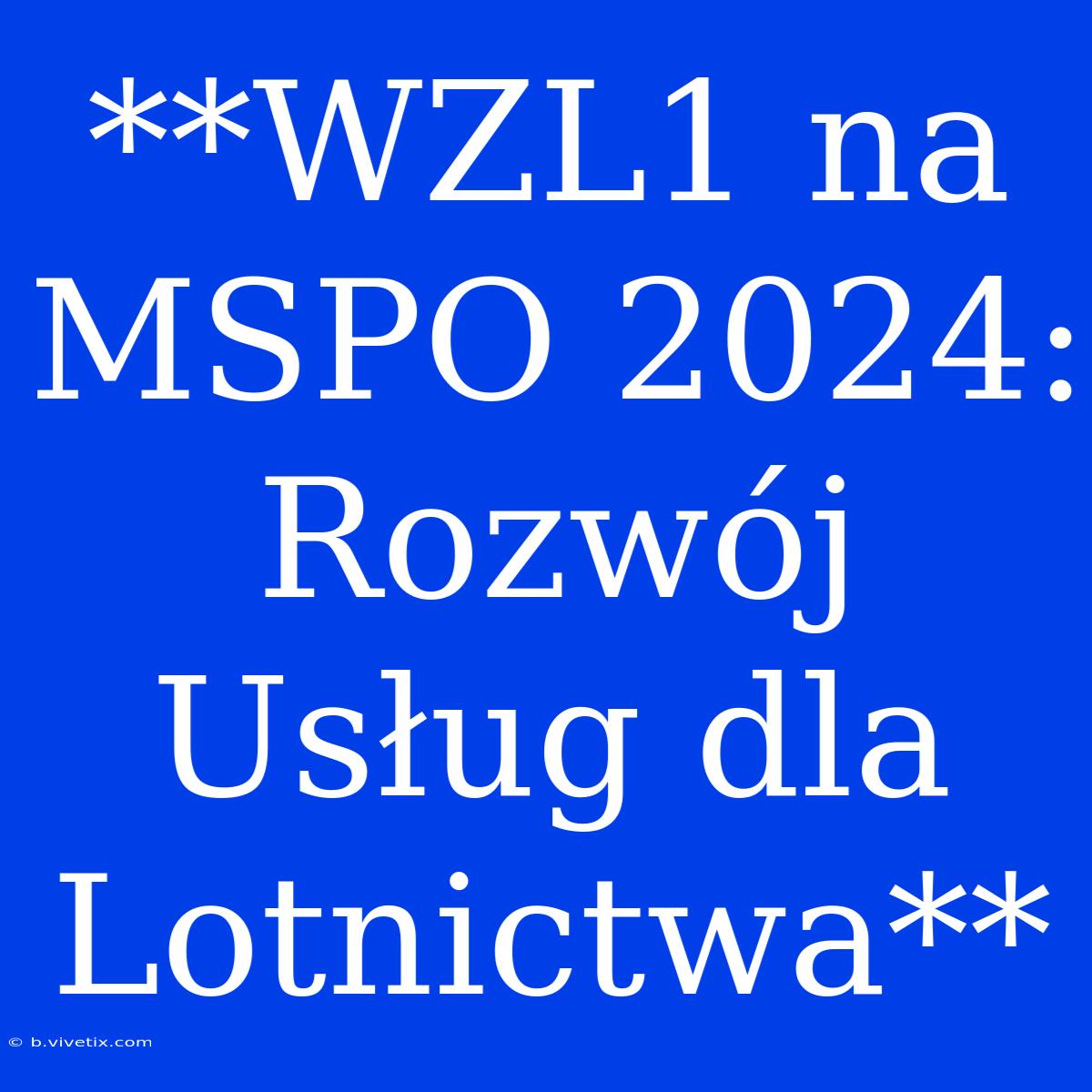 **WZL1 Na MSPO 2024: Rozwój Usług Dla Lotnictwa**