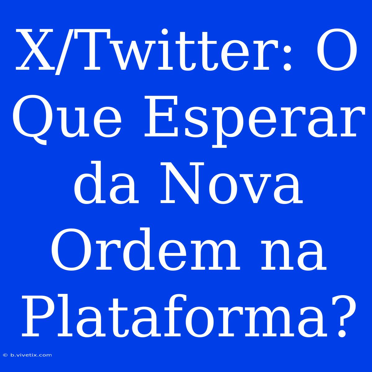 X/Twitter: O Que Esperar Da Nova Ordem Na Plataforma? 