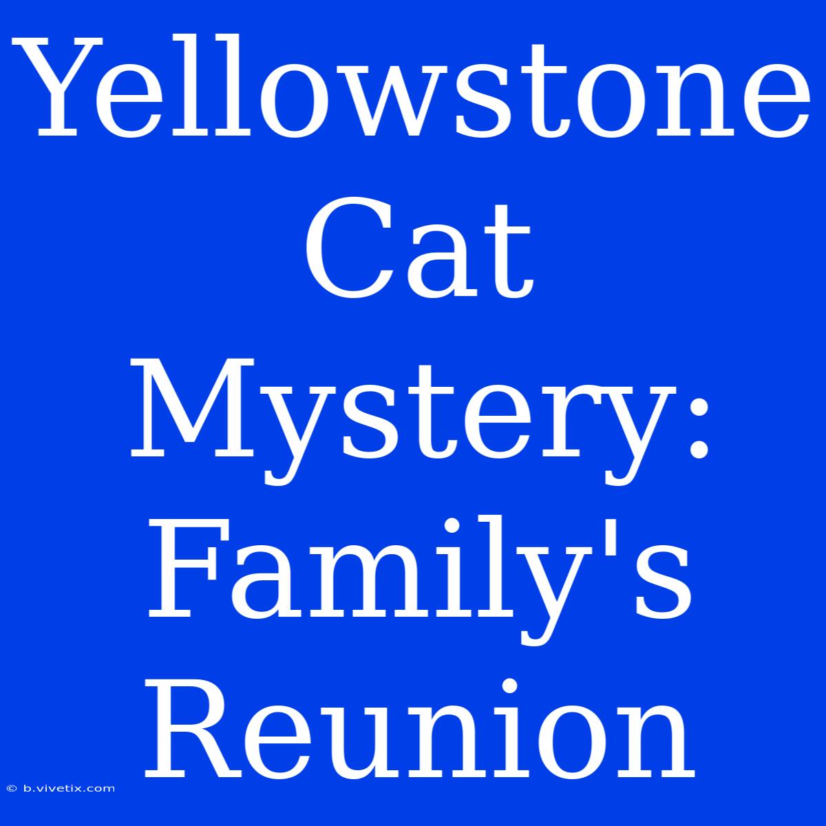 Yellowstone Cat Mystery: Family's Reunion