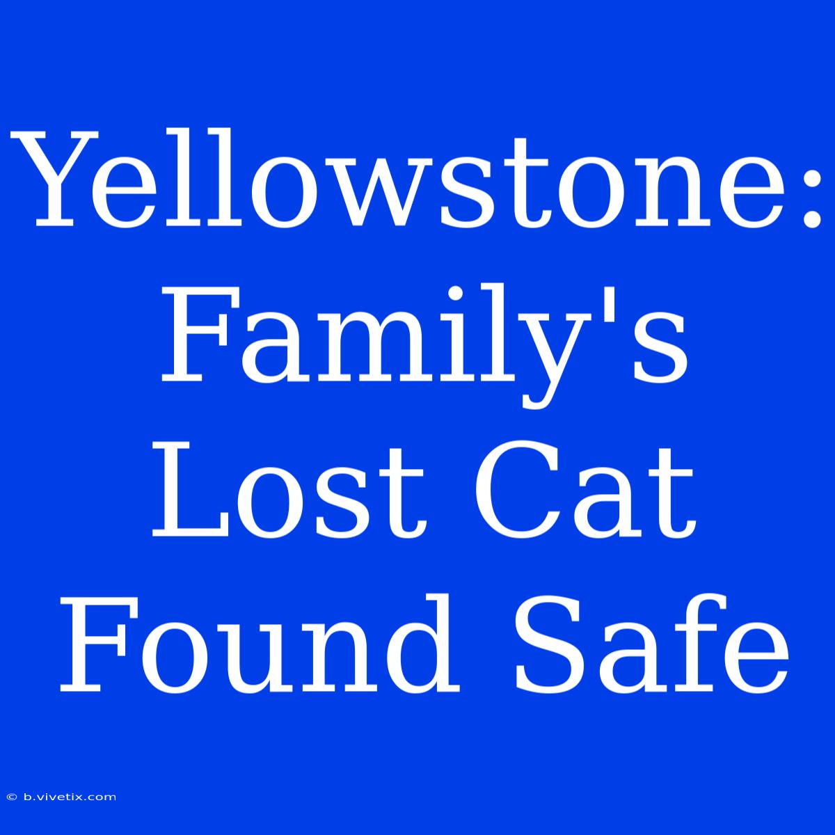 Yellowstone: Family's Lost Cat Found Safe