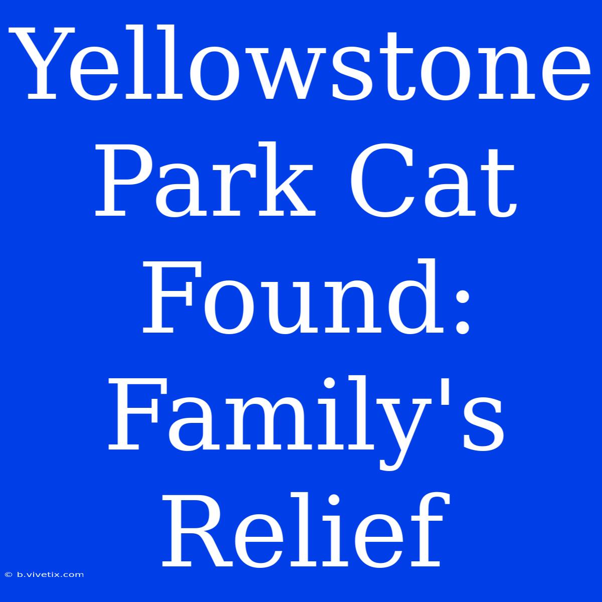 Yellowstone Park Cat Found: Family's Relief