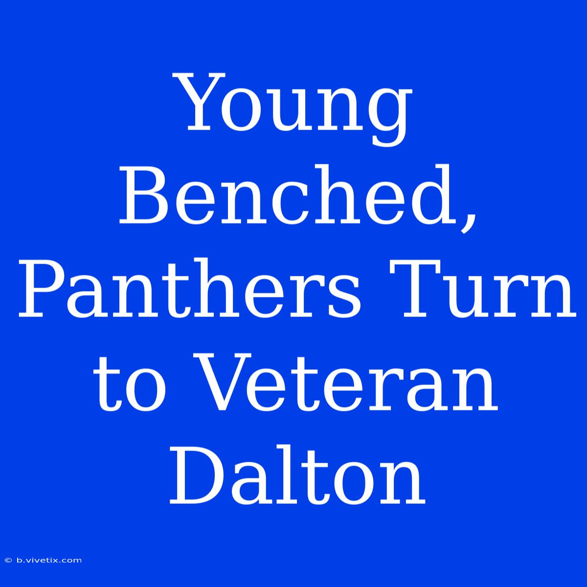 Young Benched, Panthers Turn To Veteran Dalton 