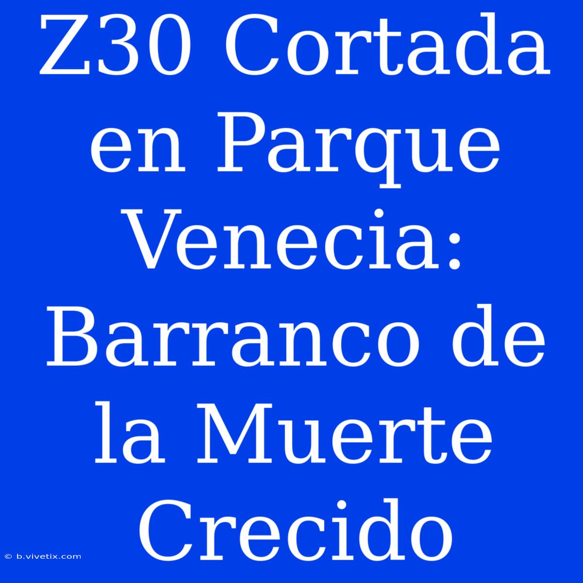 Z30 Cortada En Parque Venecia: Barranco De La Muerte Crecido