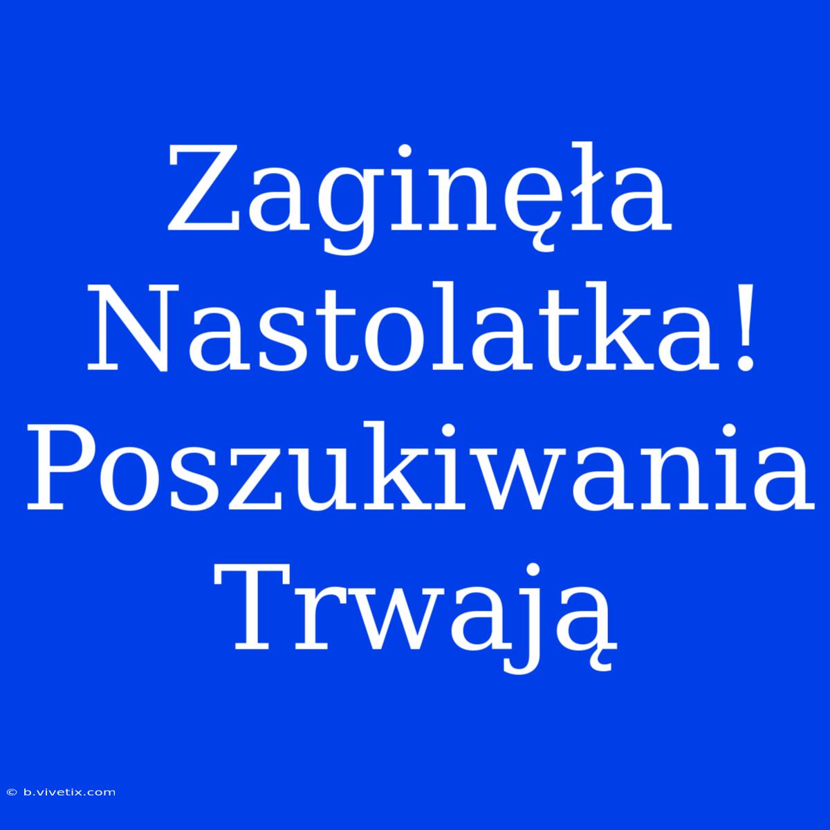 Zaginęła Nastolatka! Poszukiwania Trwają