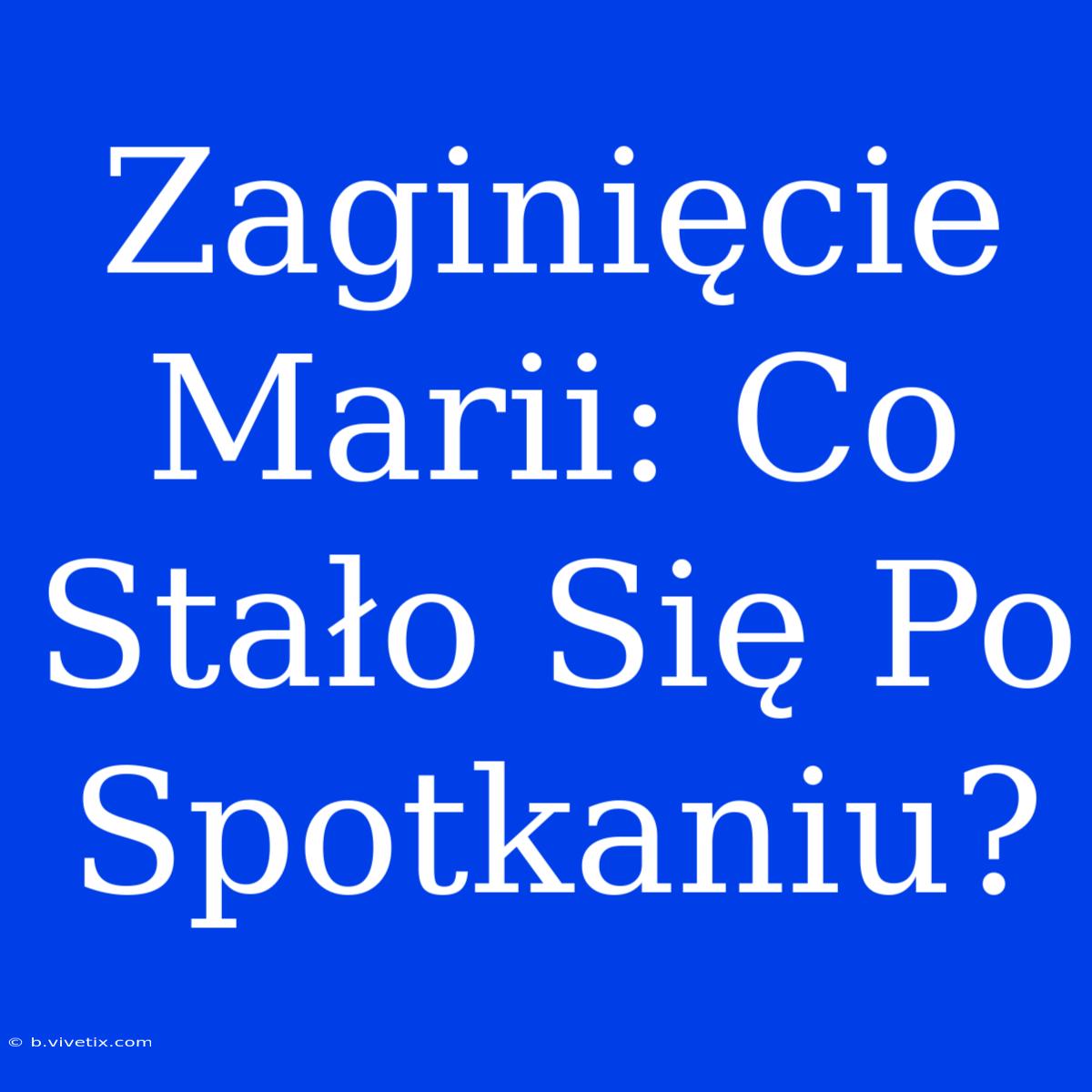 Zaginięcie Marii: Co Stało Się Po Spotkaniu?