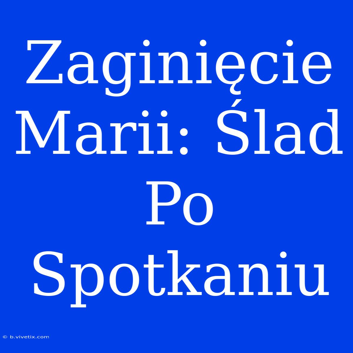 Zaginięcie Marii: Ślad Po Spotkaniu 