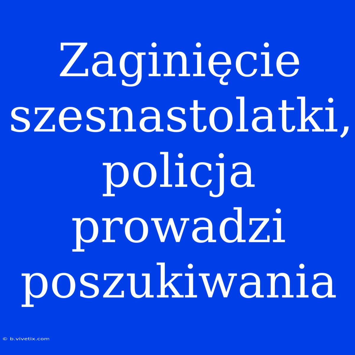 Zaginięcie Szesnastolatki, Policja Prowadzi Poszukiwania