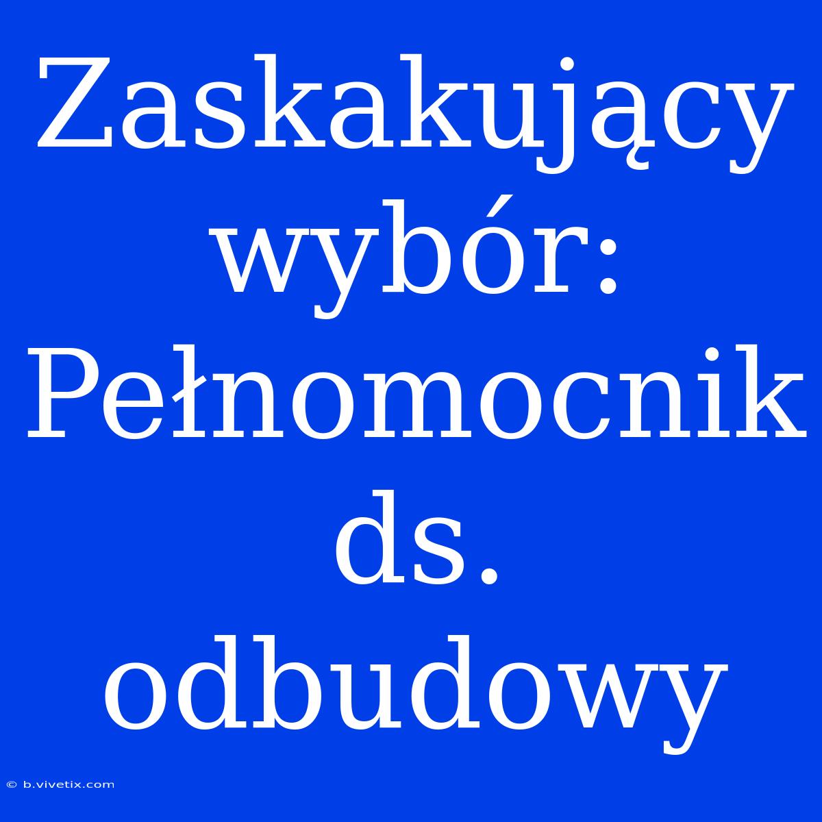 Zaskakujący Wybór: Pełnomocnik Ds. Odbudowy