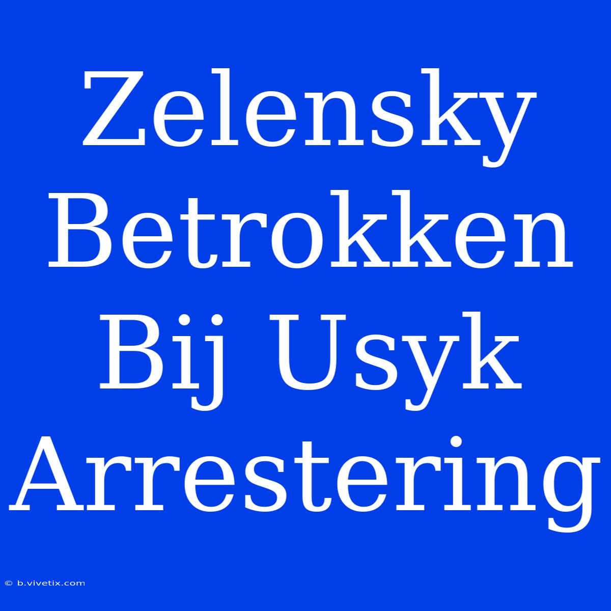 Zelensky Betrokken Bij Usyk Arrestering