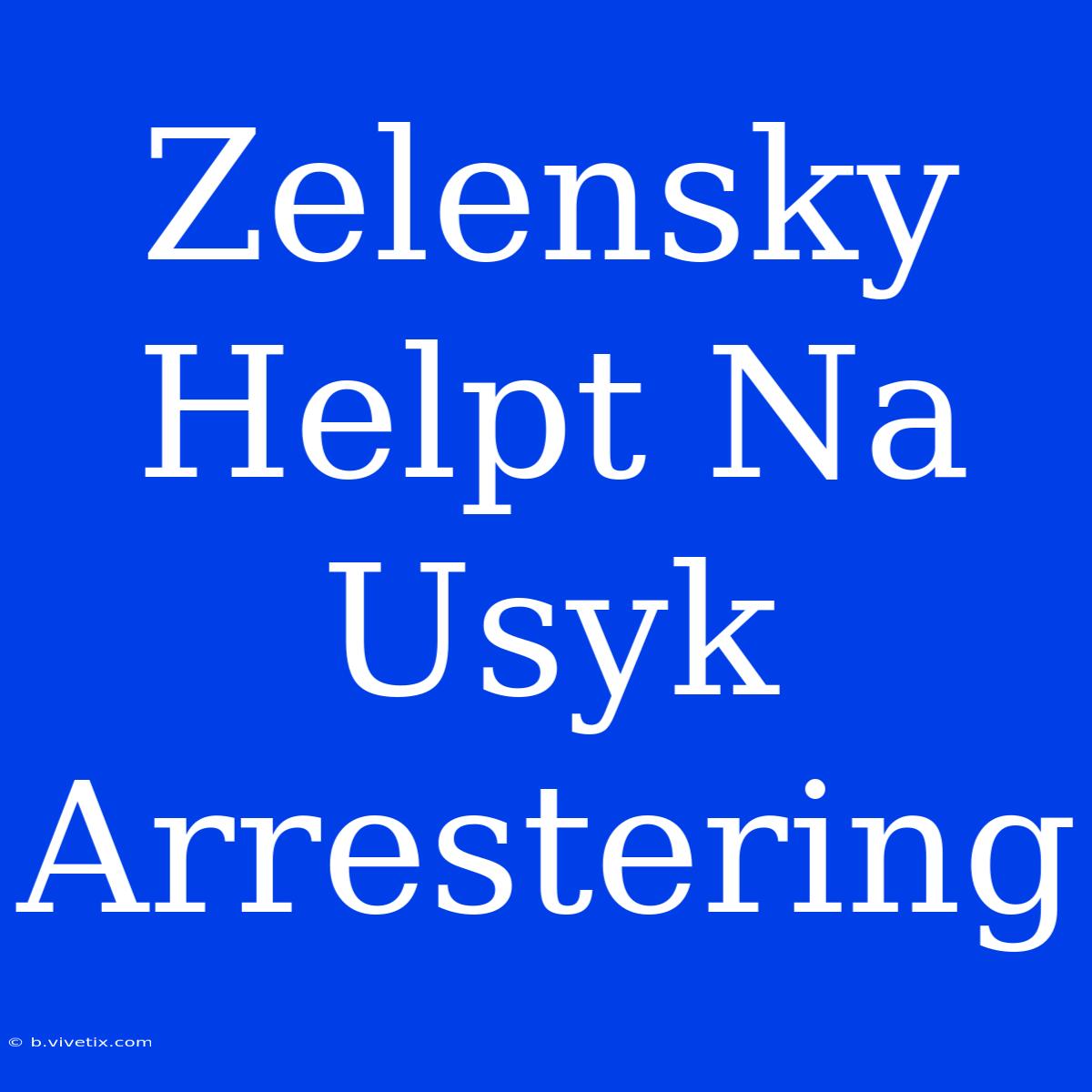 Zelensky Helpt Na Usyk Arrestering