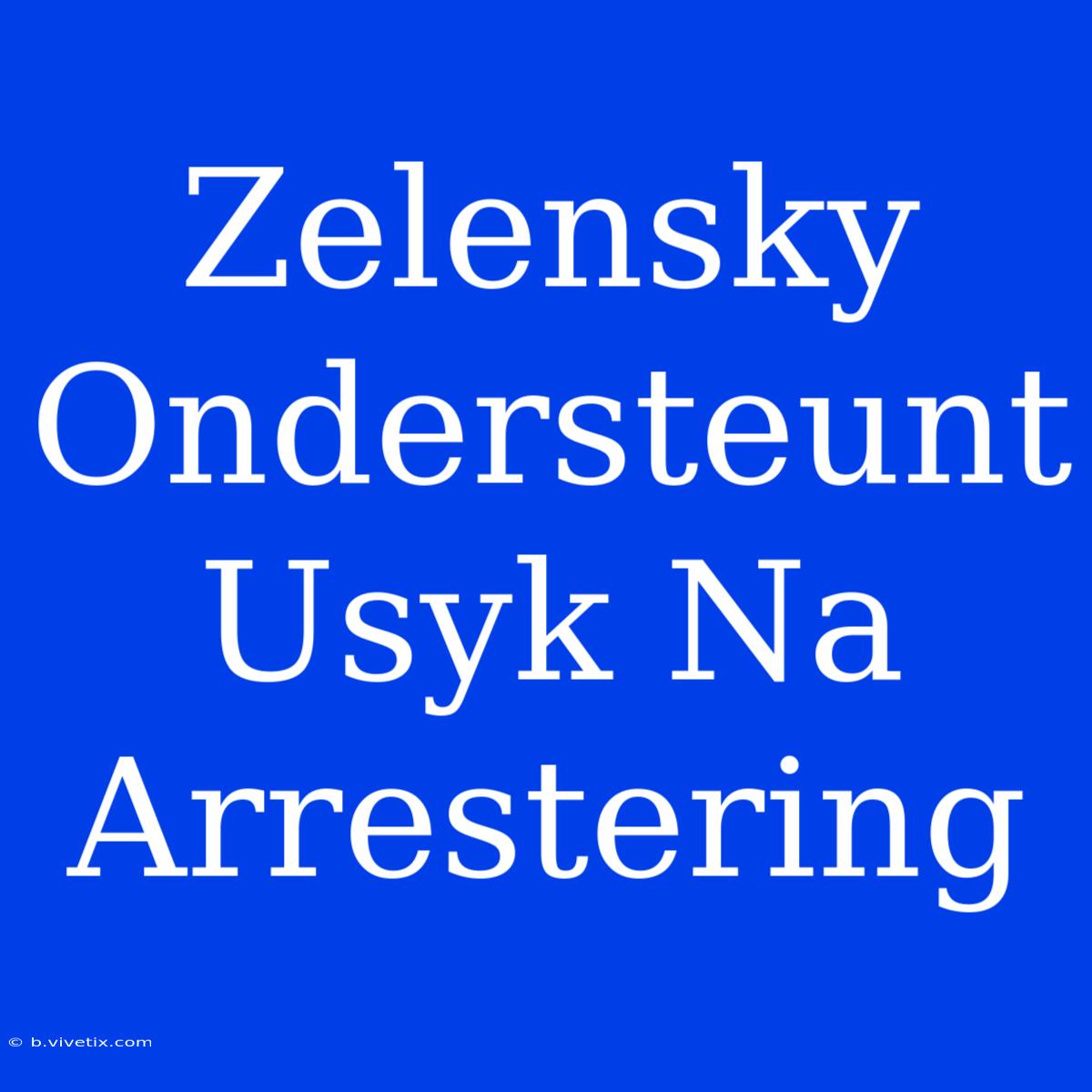 Zelensky Ondersteunt Usyk Na Arrestering