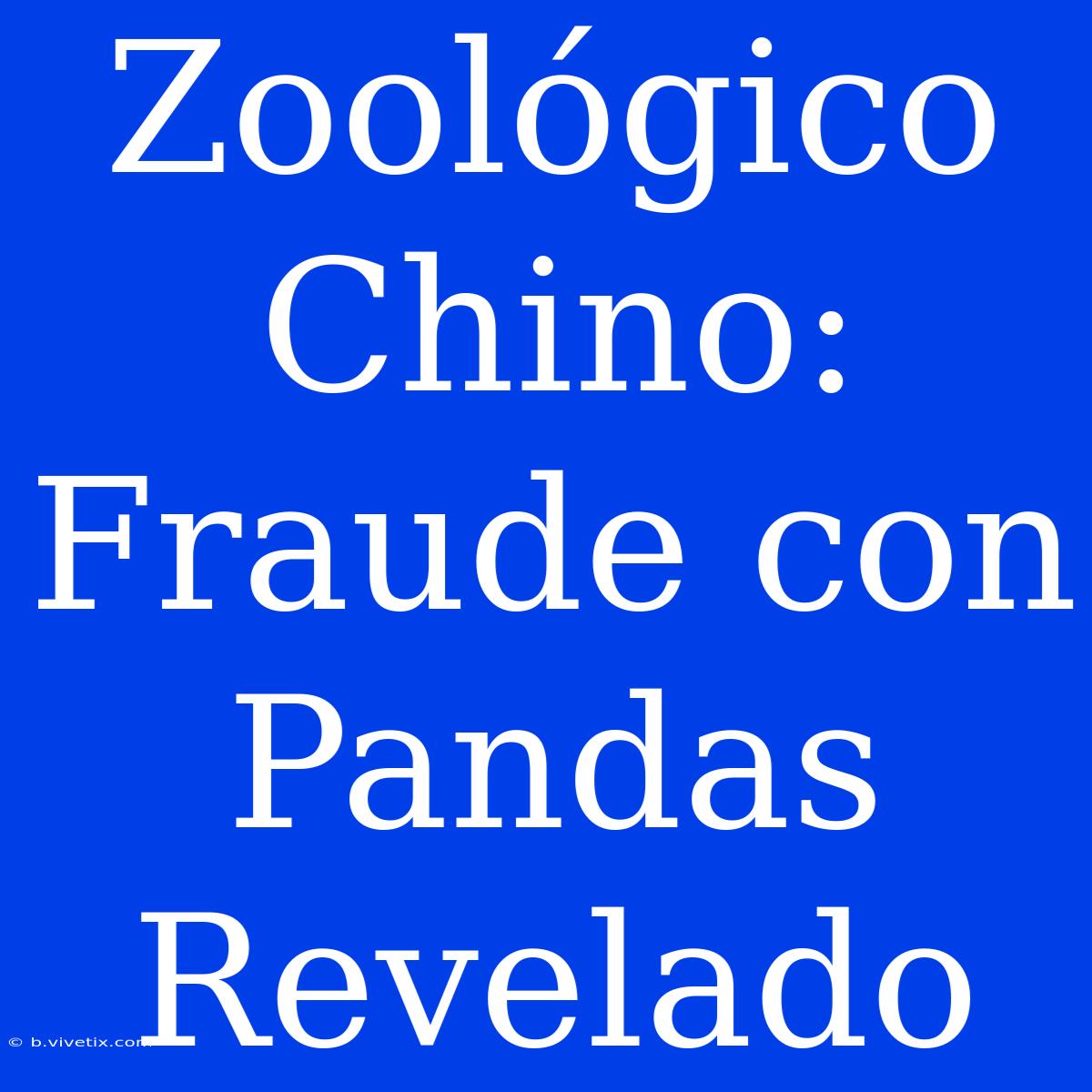 Zoológico Chino: Fraude Con Pandas Revelado