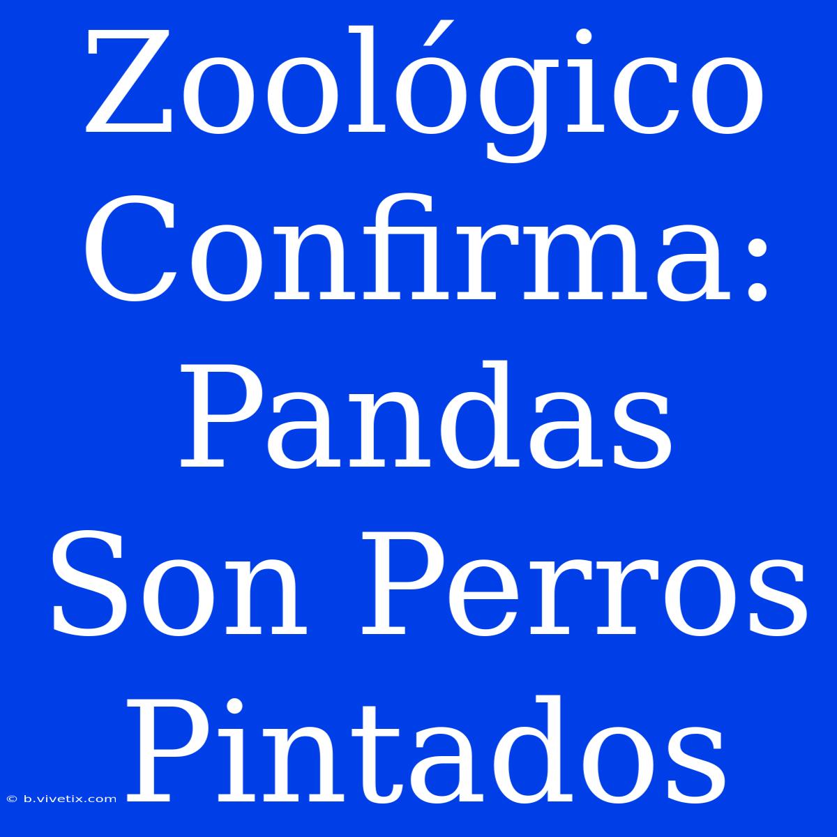 Zoológico Confirma: Pandas Son Perros Pintados