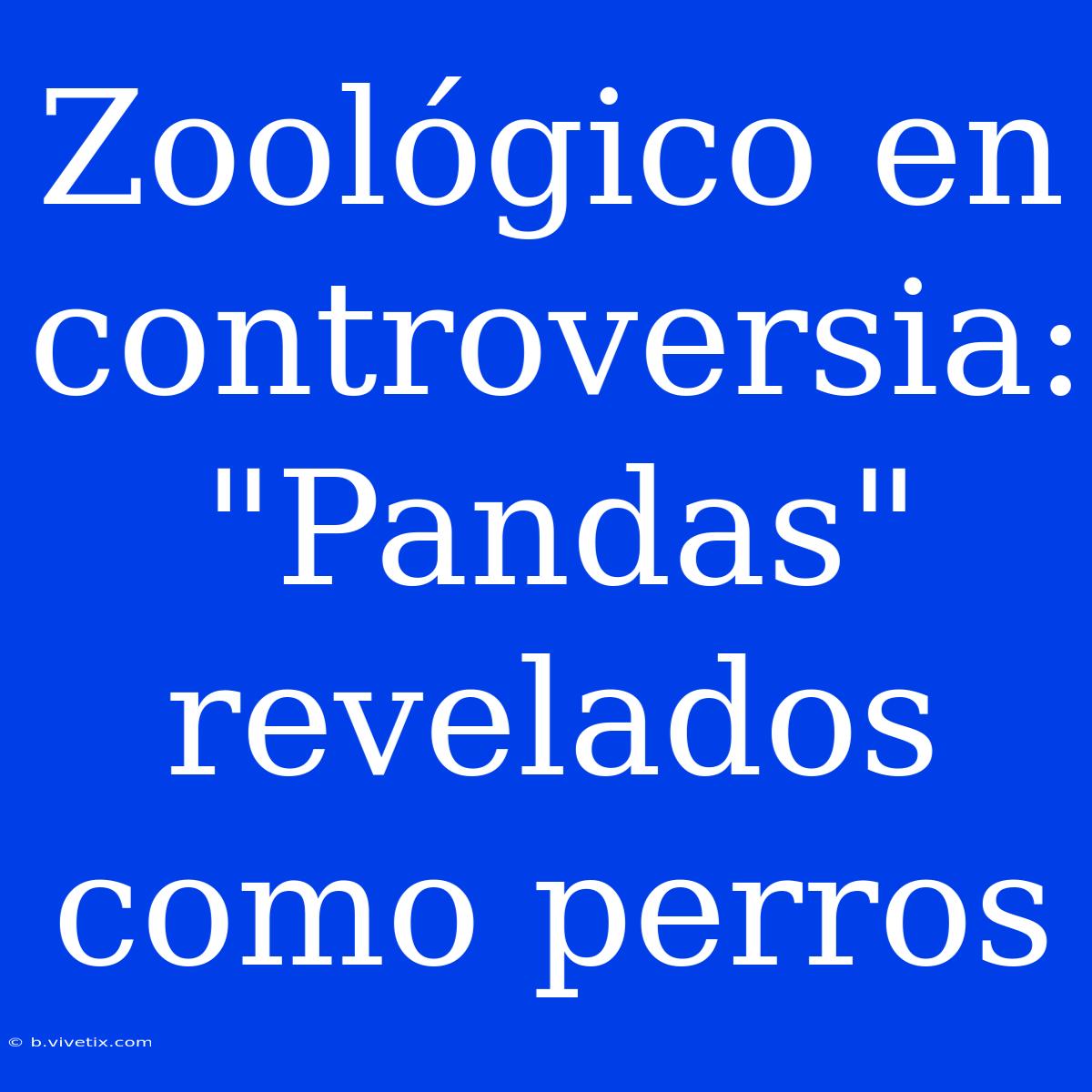 Zoológico En Controversia: 