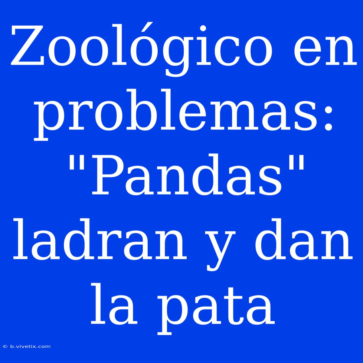 Zoológico En Problemas: 