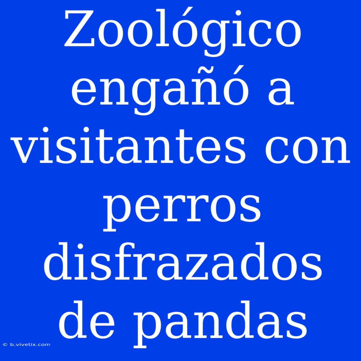 Zoológico Engañó A Visitantes Con Perros Disfrazados De Pandas