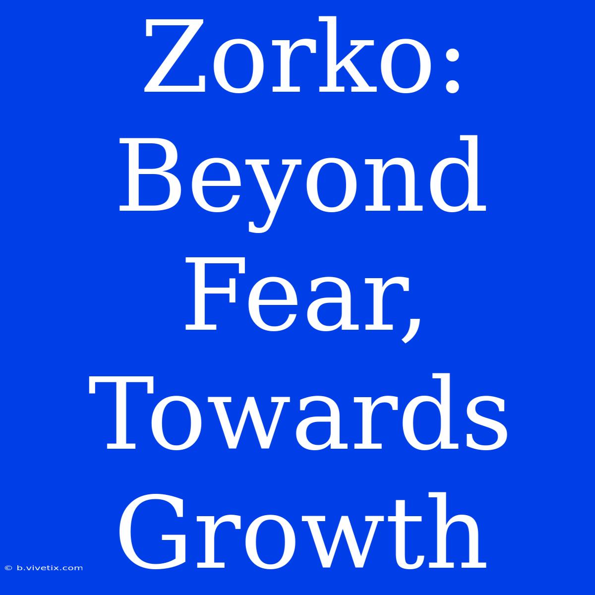 Zorko: Beyond Fear, Towards Growth