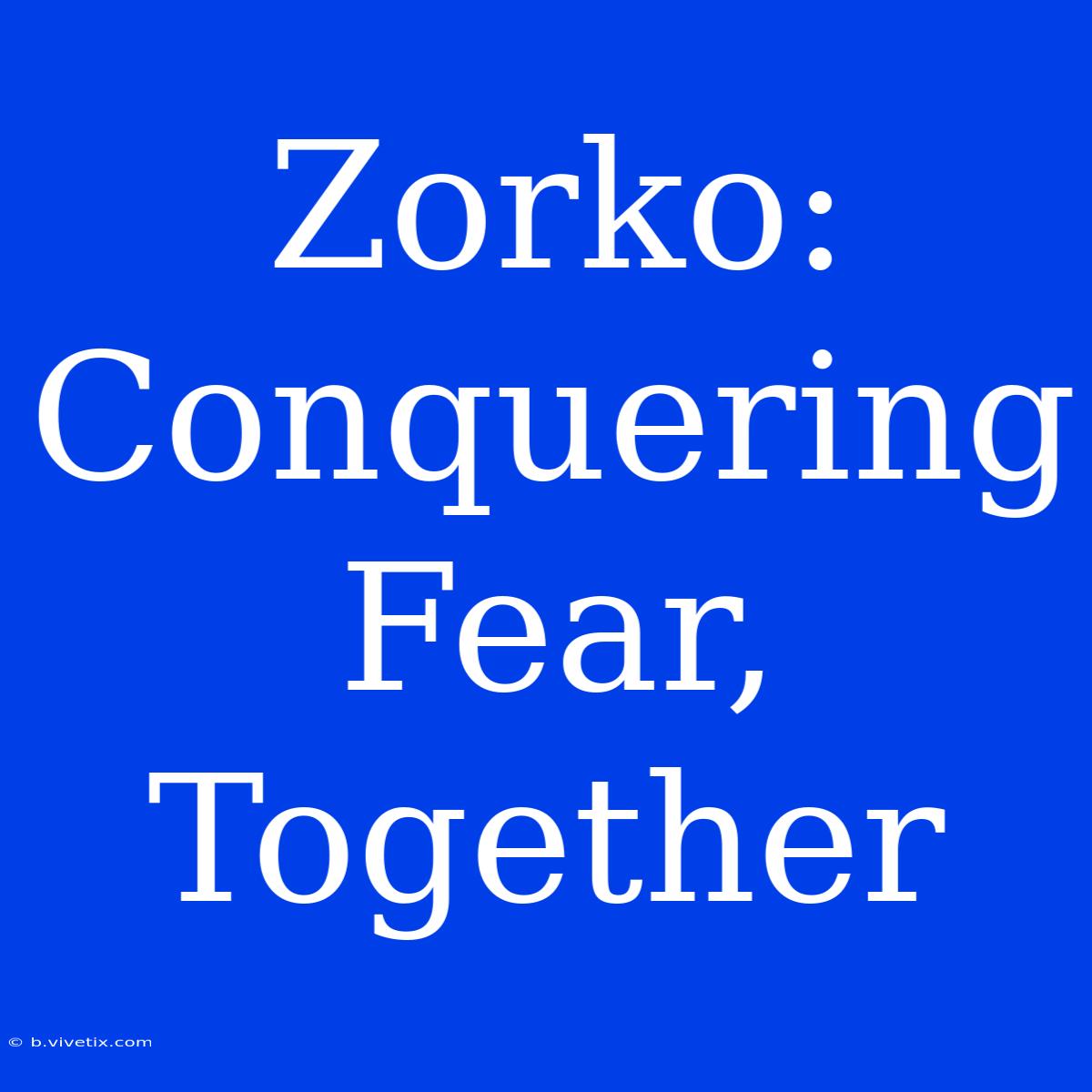 Zorko: Conquering Fear, Together