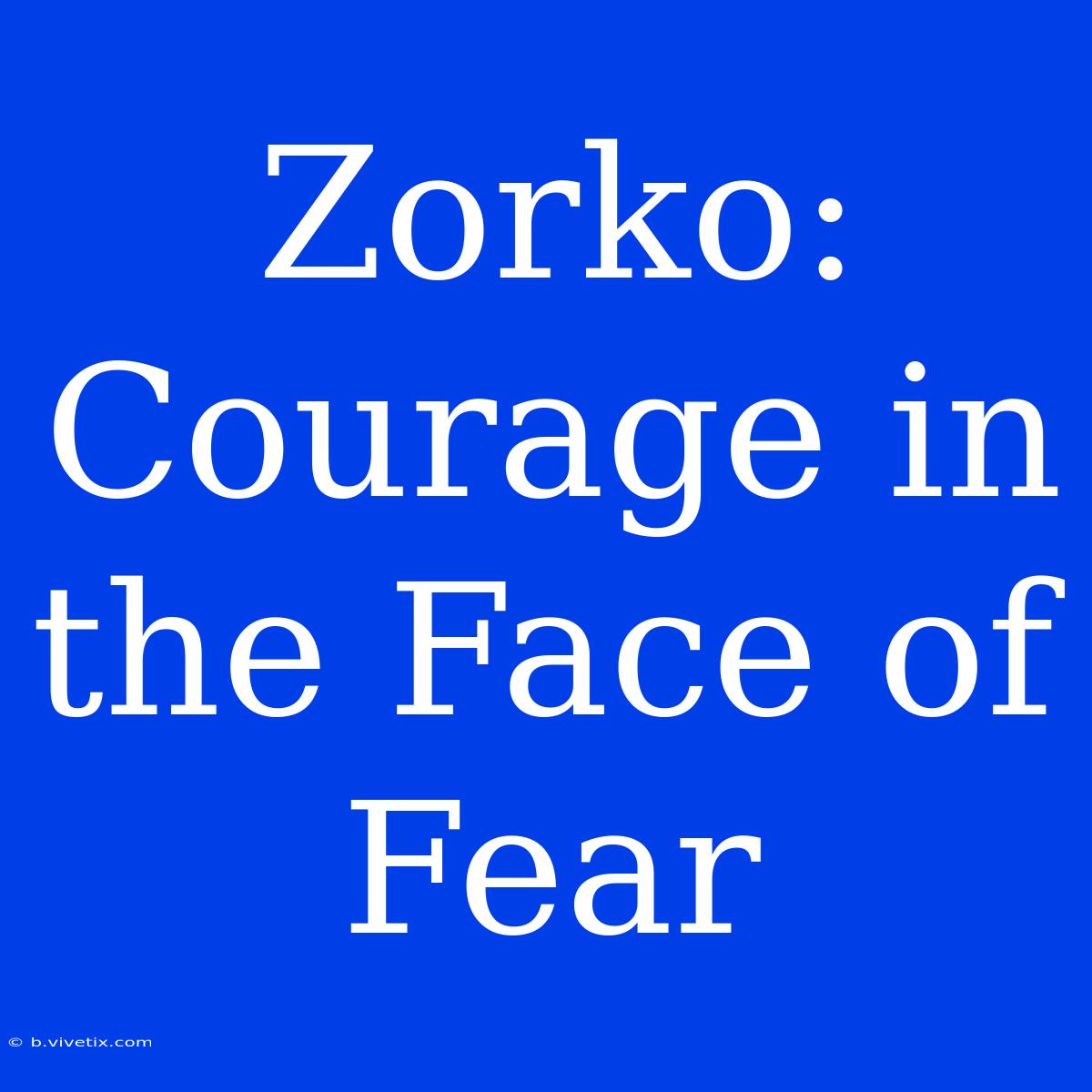 Zorko: Courage In The Face Of Fear