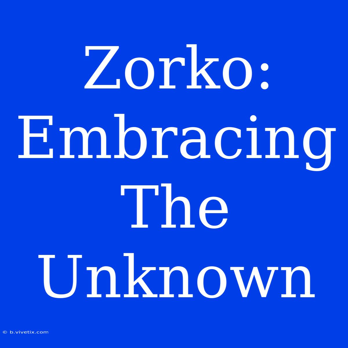 Zorko: Embracing The Unknown