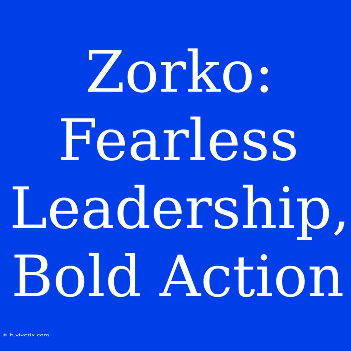 Zorko: Fearless Leadership, Bold Action 