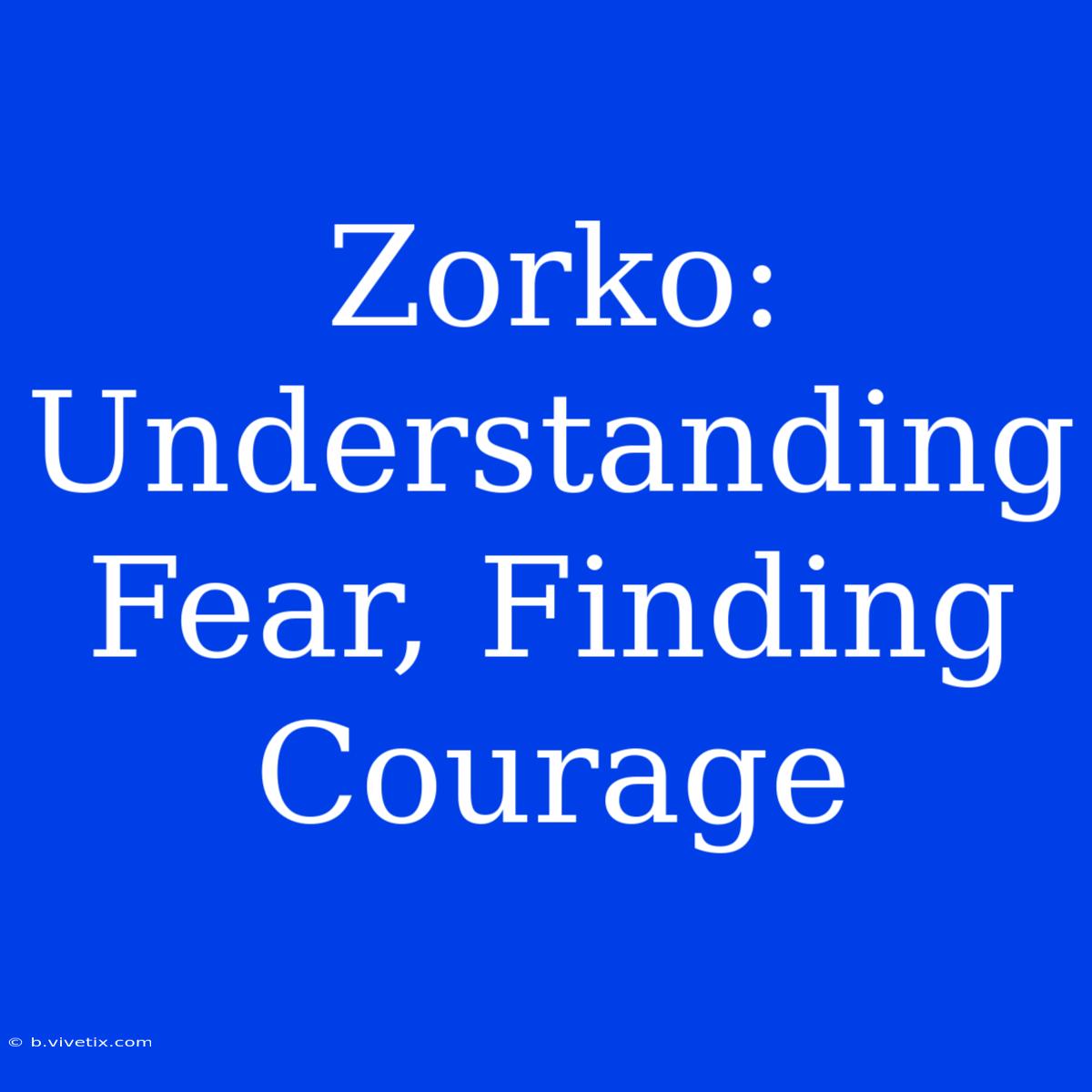 Zorko: Understanding Fear, Finding Courage