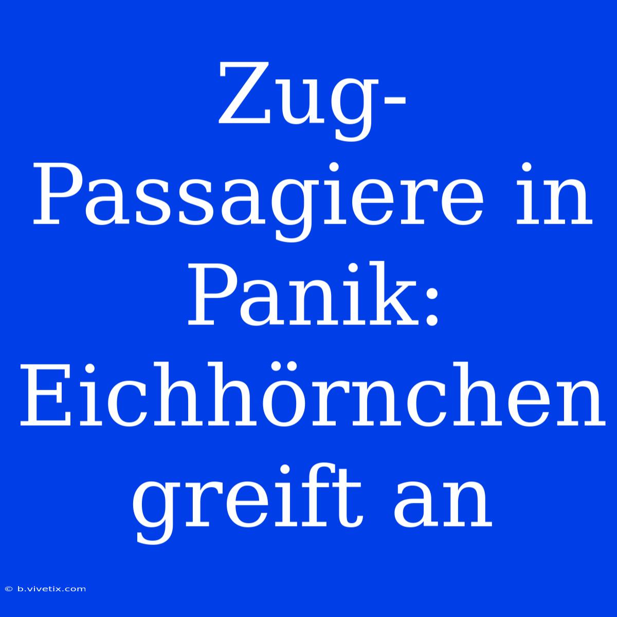 Zug-Passagiere In Panik: Eichhörnchen Greift An