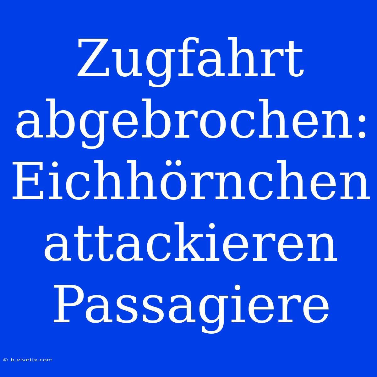 Zugfahrt Abgebrochen: Eichhörnchen Attackieren Passagiere