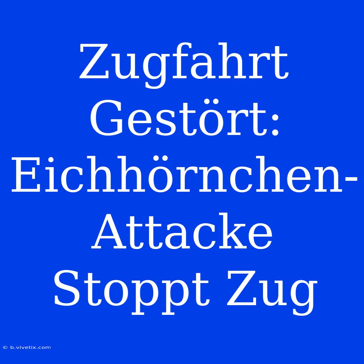 Zugfahrt Gestört: Eichhörnchen-Attacke Stoppt Zug