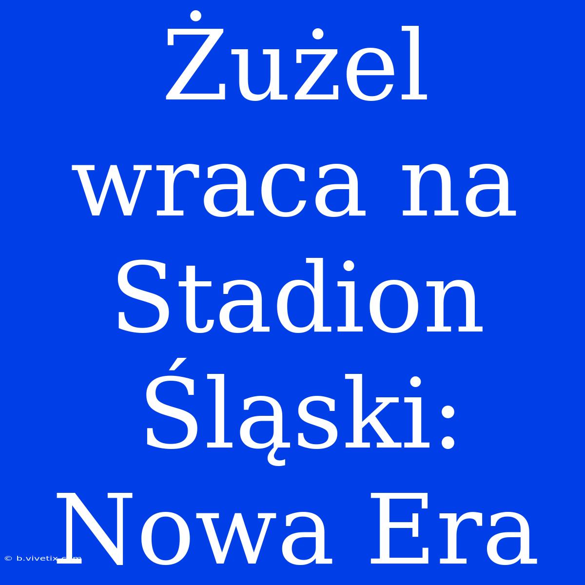 Żużel Wraca Na Stadion Śląski: Nowa Era